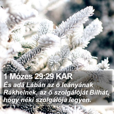 1 Mózes 29:29 KAR Bible Verse Image