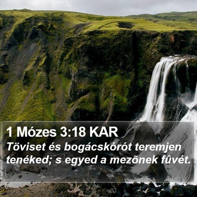 1 Mózes 3:18 KAR Bible Verse Image