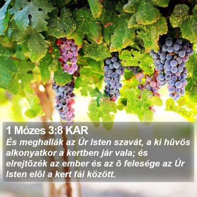 1 Mózes 3:8 KAR Bible Verse Image