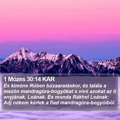 1 Mózes 30:14 KAR Bible Verse Image