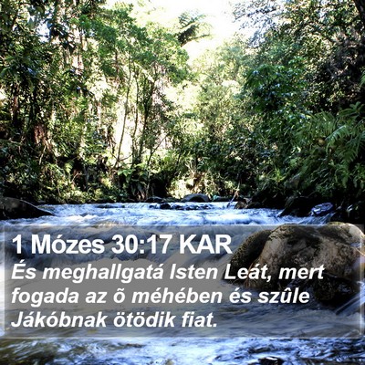 1 Mózes 30:17 KAR Bible Verse Image