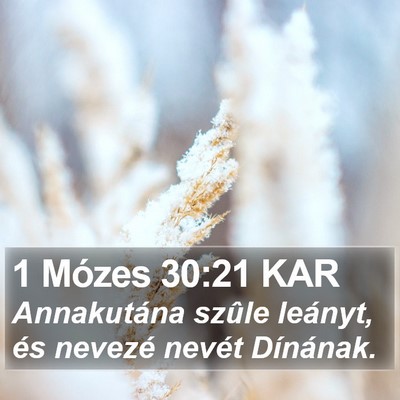 1 Mózes 30:21 KAR Bible Verse Image