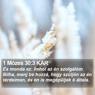 1 Mózes 30:3 KAR Bible Verse Image