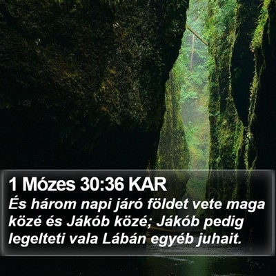 1 Mózes 30:36 KAR Bible Verse Image