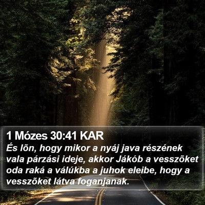 1 Mózes 30:41 KAR Bible Verse Image