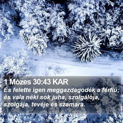 1 Mózes 30:43 KAR Bible Verse Image