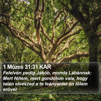 1 Mózes 31:31 KAR Bible Verse Image