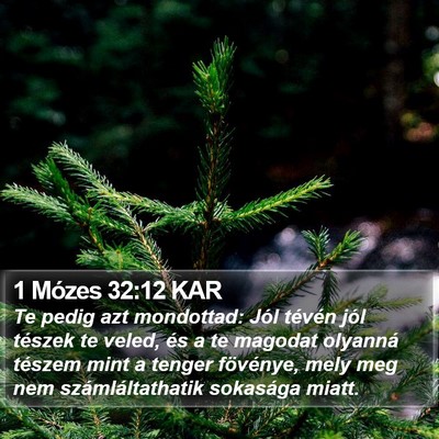 1 Mózes 32:12 KAR Bible Verse Image