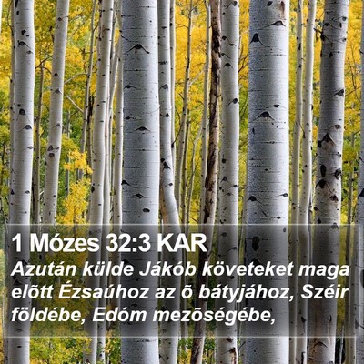 1 Mózes 32:3 KAR Bible Verse Image