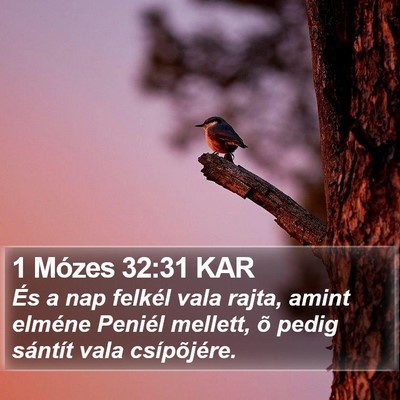 1 Mózes 32:31 KAR Bible Verse Image