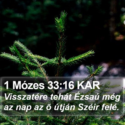 1 Mózes 33:16 KAR Bible Verse Image