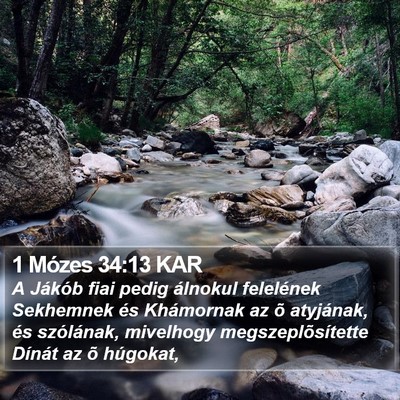 1 Mózes 34:13 KAR Bible Verse Image