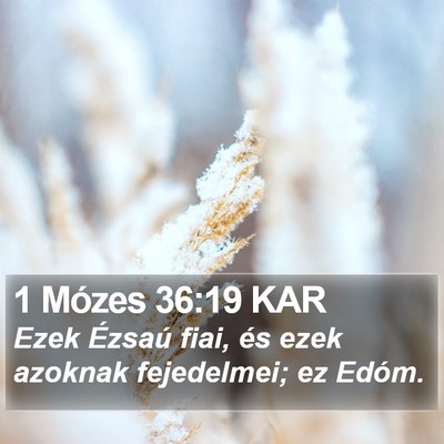 1 Mózes 36:19 KAR Bible Verse Image