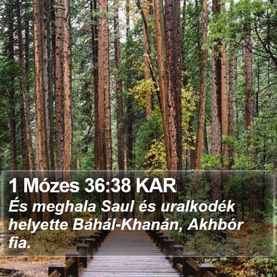 1 Mózes 36:38 KAR Bible Verse Image