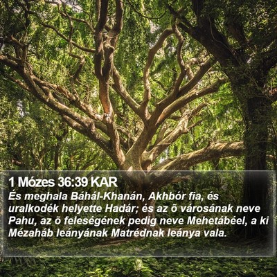 1 Mózes 36:39 KAR Bible Verse Image