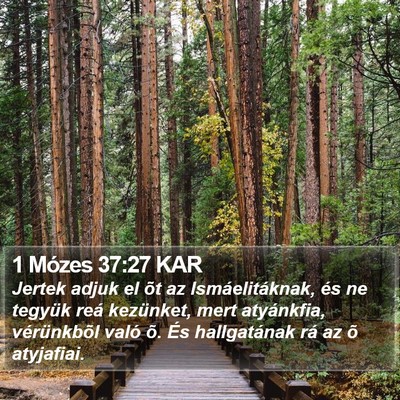 1 Mózes 37:27 KAR Bible Verse Image