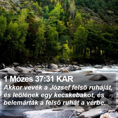 1 Mózes 37:31 KAR Bible Verse Image