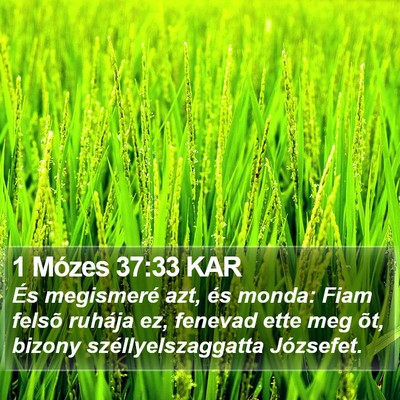 1 Mózes 37:33 KAR Bible Verse Image