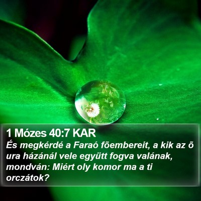 1 Mózes 40:7 KAR Bible Verse Image