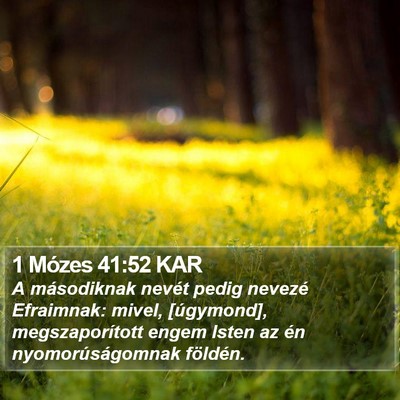 1 Mózes 41:52 KAR Bible Verse Image