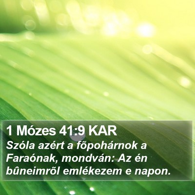 1 Mózes 41:9 KAR Bible Verse Image