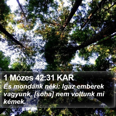 1 Mózes 42:31 KAR Bible Verse Image