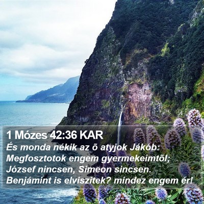 1 Mózes 42:36 KAR Bible Verse Image