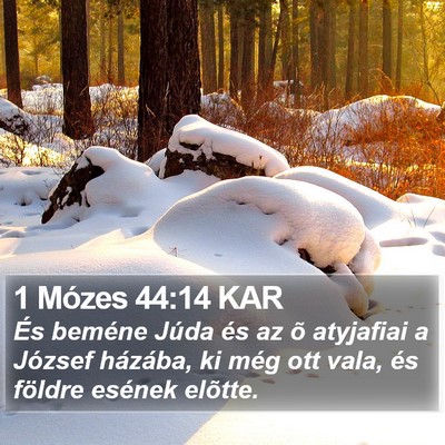 1 Mózes 44:14 KAR Bible Verse Image