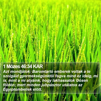 1 Mózes 46:34 KAR Bible Verse Image