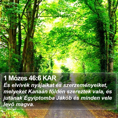 1 Mózes 46:6 KAR Bible Verse Image