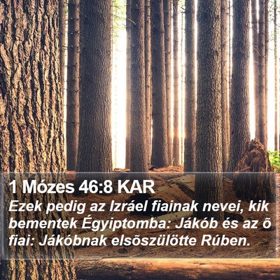 1 Mózes 46:8 KAR Bible Verse Image