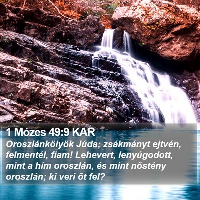 1 Mózes 49:9 KAR Bible Verse Image