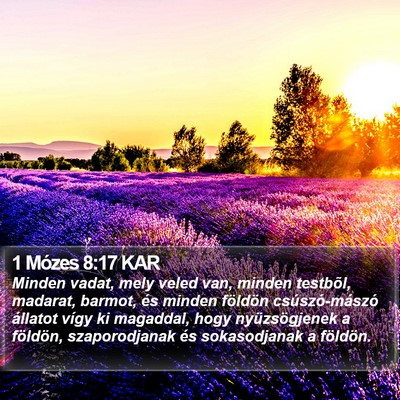 1 Mózes 8:17 KAR Bible Verse Image