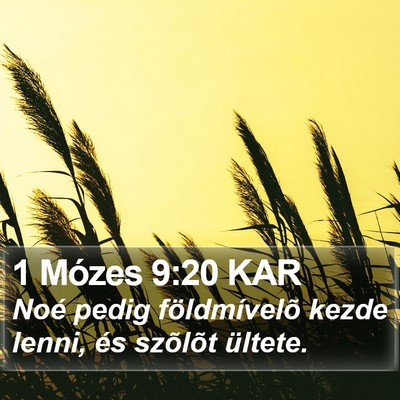 1 Mózes 9:20 KAR Bible Verse Image