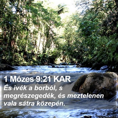 1 Mózes 9:21 KAR Bible Verse Image