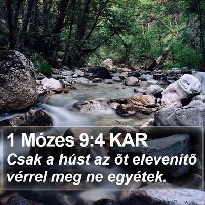1 Mózes 9:4 KAR Bible Verse Image