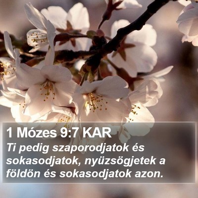 1 Mózes 9:7 KAR Bible Verse Image