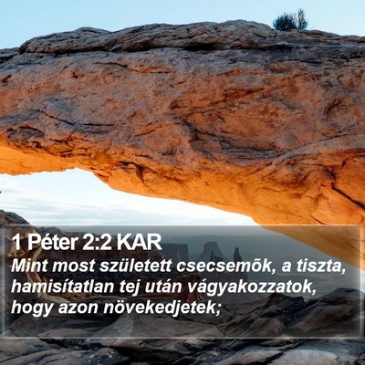 1 Péter 2:2 KAR Bible Verse Image