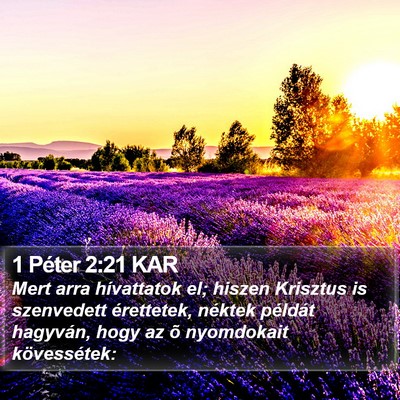 1 Péter 2:21 KAR Bible Verse Image