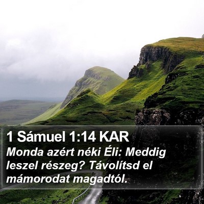 1 Sámuel 1:14 KAR Bible Verse Image
