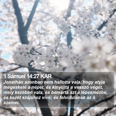 1 Sámuel 14:27 KAR Bible Verse Image