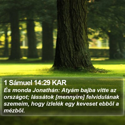 1 Sámuel 14:29 KAR Bible Verse Image