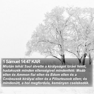1 Sámuel 14:47 KAR Bible Verse Image