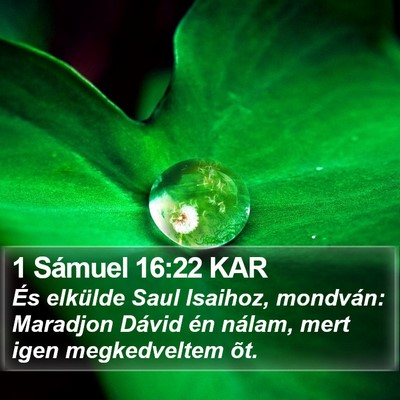 1 Sámuel 16:22 KAR Bible Verse Image