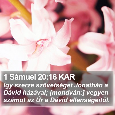 1 Sámuel 20:16 KAR Bible Verse Image