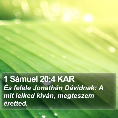1 Sámuel 20:4 KAR Bible Verse Image