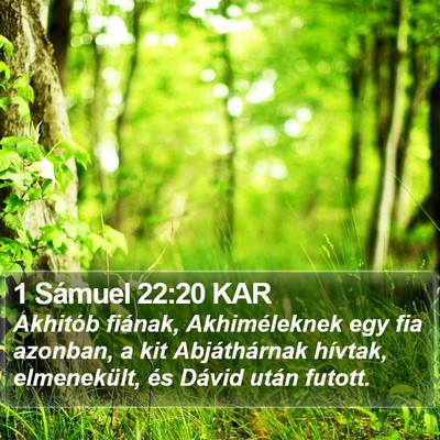 1 Sámuel 22:20 KAR Bible Verse Image