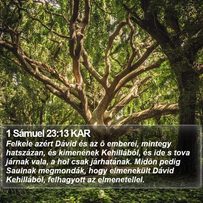 1 Sámuel 23:13 KAR Bible Verse Image