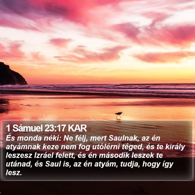 1 Sámuel 23:17 KAR Bible Verse Image