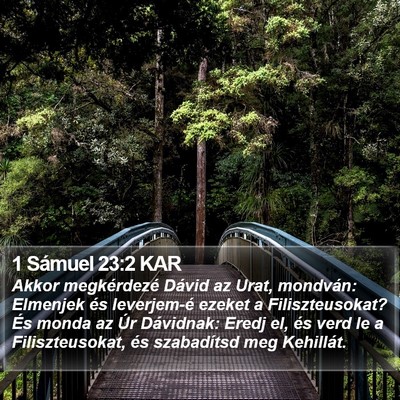 1 Sámuel 23:2 KAR Bible Verse Image